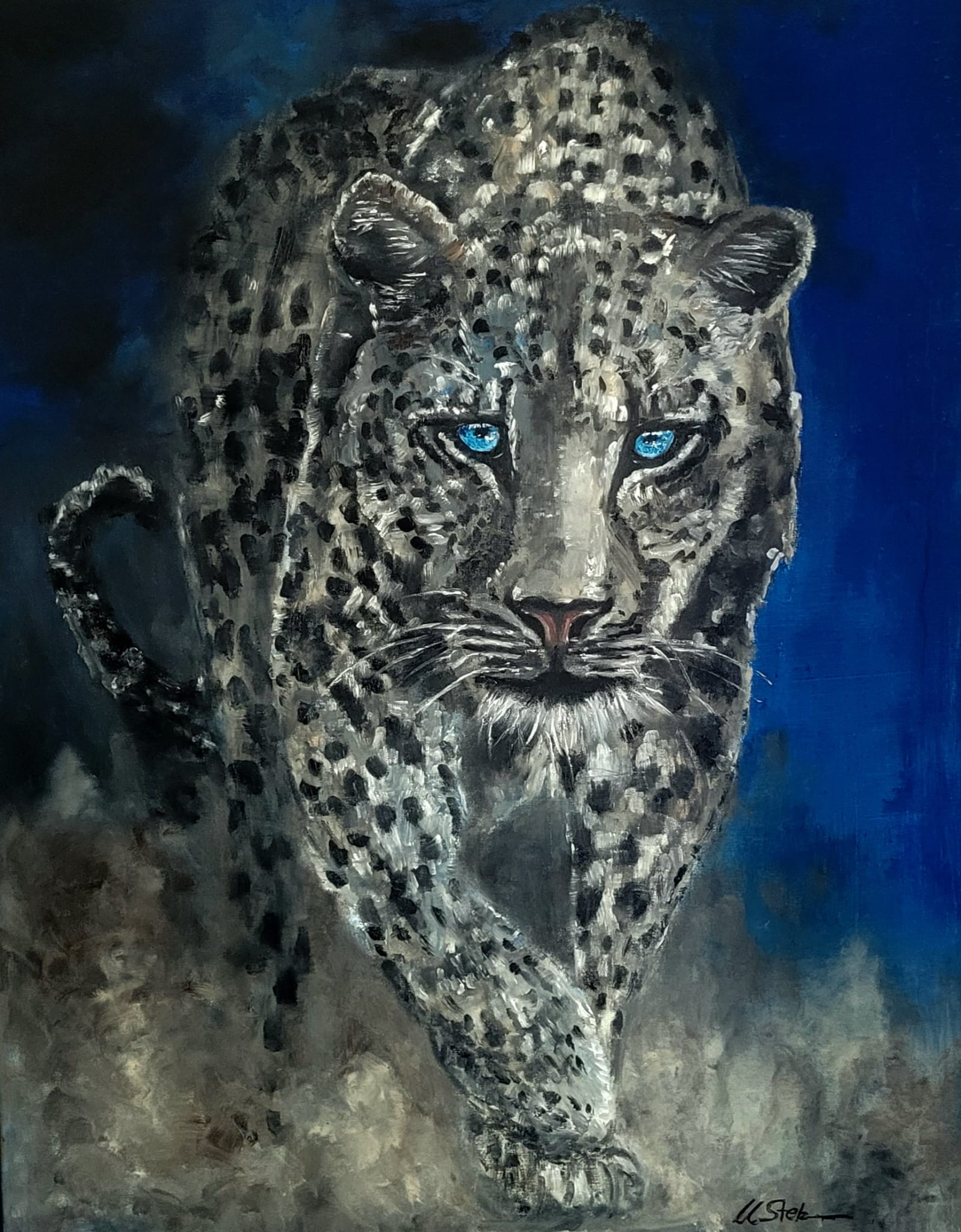 leopard leopard